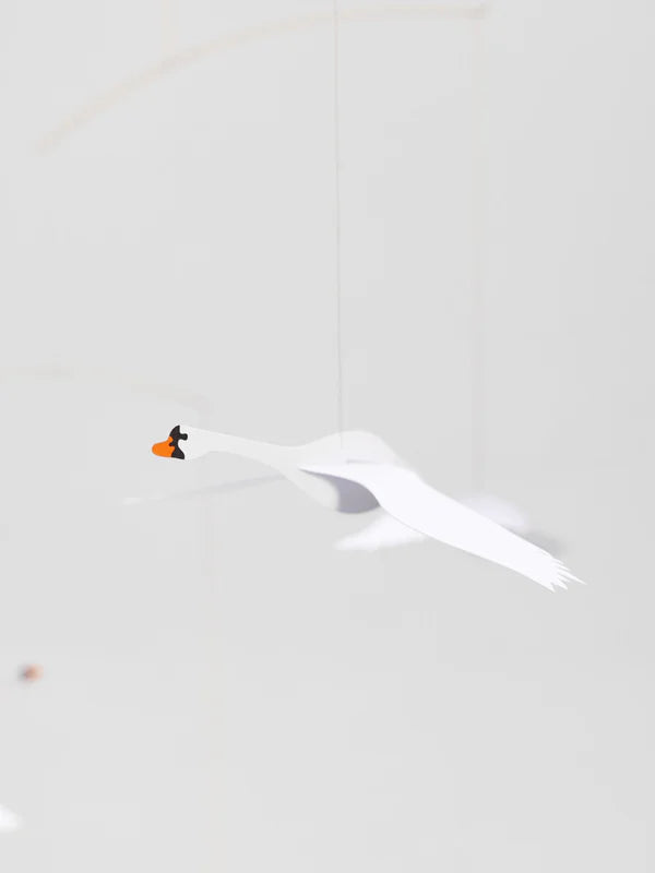 Uro, Scandinavian Swans