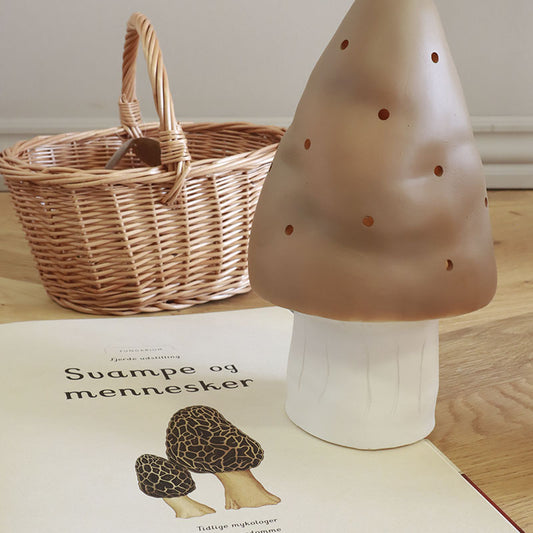 Lille svampelampe, Chokolade